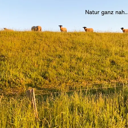 Foerdeblick Apartment *